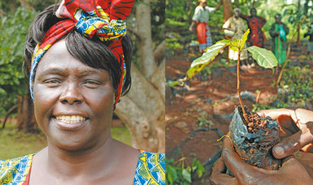 wangari maathai